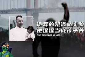 诡异的凯洛格实验，把猩猩当成孩子养视频封面