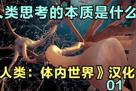 人类思考本质是一场神经元电风暴和化学风暴的结合《体内世界》01视频封面