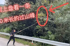 奶奶看见河边有一条20米的“过山峰”，走近一看，哇哇大叫起来