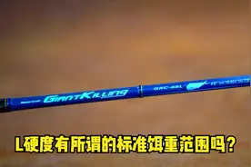 标注L硬度，最大饵重45g的路亚竿是什么样子的