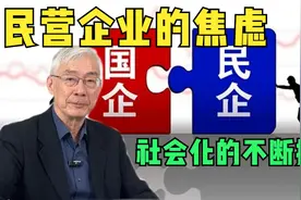 国企和民企的发展历程（3）建立共同的生态环境视频封面