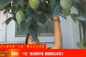 晋源区：“六乱”整治提档升级，美丽庭院出彩助力视频封面