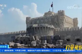 联合国：到2050年亚历山大四分之一人口需迁移|经济信息联播视频封面