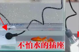 中国80后小伙发明出不怕水的插座，是何原理，让央视多次报道？视频封面