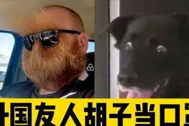 外国友人嫌口罩太贵直接用胡子做口罩看到后我惊呆了视频封面