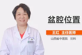 盆腔的位置视频封面