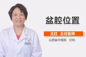 盆腔的位置视频封面
