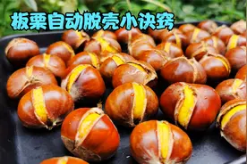 煮板栗最简单的做法，记住2个小诀窍，自动开口好剥壳#9月吃什么#