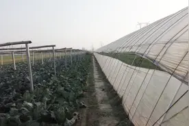 初入头条，自我介绍。视频封面