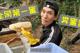 全网第一蜜，化粪池里挖出一窝野生蜜，晶莹剔透味道太棒了！视频封面