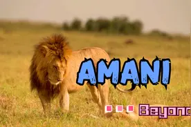 Beyond经典歌曲《AMANI》，家驹看到战争灾难后为呼唤和平而创作视频封面