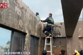 安徽一对闺蜜相约跳楼轻生，消防员跃身将其救下视频封面