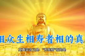 我相人相众生相寿者相的真实含义视频封面