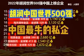 中国最强的35家私营企业排名！2022胡润世界500强中国入围名单视频封面