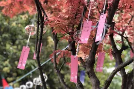 文明祭祀 做移风易俗的倡导者视频封面