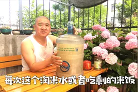园艺爱好者家庭自制磷钾肥妙招，沤制有机肥可代替花多多2号视频封面