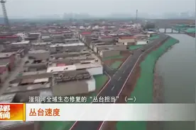 滏阳河全域生态修复的“丛台担当”（一）丛台速度视频封面