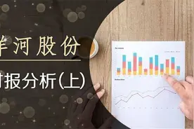 洋河股份，崛起中的区域性白酒企业，目前的财务状况如何？视频封面