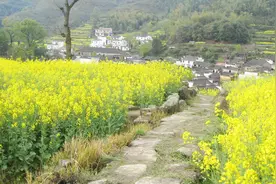 农村俗语“前门不点灯，后院不亮堂”，具体指啥？有道理吗？视频封面
