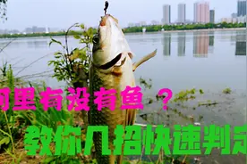 不愧是钓鱼人的智慧！河里有没有鱼几步就判定，看完又学会一招视频封面