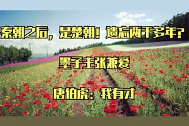 秦朝之后，是楚朝！遗忘两千多年？_墨子主张兼爱_唐伯虎：我有才视频封面