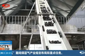 故土新生 乡村振兴路上的新农人：“药材大王”耿福能视频封面