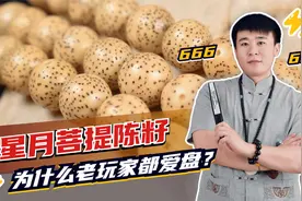 花高价钱买星月菩提陈籽！就因为好看吗？其实另有玄机！视频封面