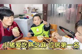 小猪喜欢吃熟芝麻，五月降温穿棉袄，小猪吃着饭哄着弟弟逗乐家人视频封面