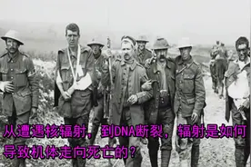 从遭遇核辐射，到DNA断裂，辐射是如何导致机体走向死亡的？视频封面