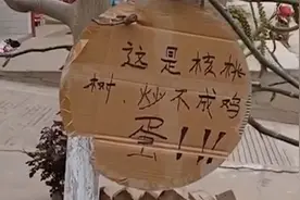 西安一核桃树被当香椿，新芽全被摘掉，房主挂牌：炒不成鸡蛋！