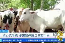 担心疯牛病，多国暂停进口巴西牛肉|经济信息联播视频封面