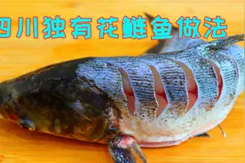火爆全国的江湖菜北渡鱼，一勺油就能搞定的美味，鲜香细嫩超过瘾视频封面