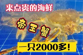 逛山东威海水产市场买点贵的海鲜：7斤重的帝王蟹，一只2000多！视频封面