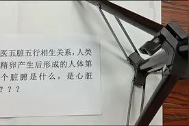 中医五脏相生关系，人类受精卵形成后的第一个脏器是什么，是心吗视频封面