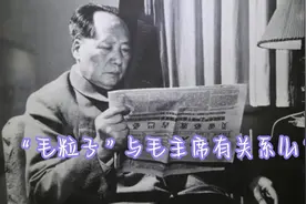 “毛粒子”与毛泽东有关吗？视频封面