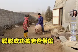 老爸和聪聪训练领头猪，中途搞笑连连，聪聪也成功被带偏了视频封面