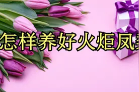 怎样养好火炬凤梨-我总结了12点，最后4点注意事项很重要。视频封面