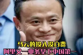 马云的投入没白费,阿里又一业务拿下中国第一,打破外资40年垄断视频封面