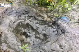 水量最大时近1米高！重庆沙坪坝地震后河流冒出32度地下水视频封面