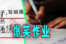 爆笑解说：为什么有些小学生作业这么难？视频封面