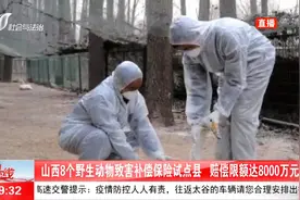 山西省8个野生动物致害补偿保险试点县，赔偿限额达8000万元视频封面