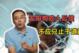 安阳狗咬人后续出炉，不仅要道歉更要反思视频封面