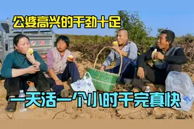家里又多一个劳动力，公婆高兴干劲十足，一天活一个小时干完真快视频封面