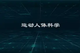040205运动人体科学视频封面
