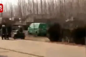 山东诸城发生违法倾倒化工废料事件致4人死亡 邻居：死者是一家人视频封面