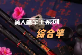 竿王综合竿的细节和作钓实测  #钓具 #渔具视频封面
