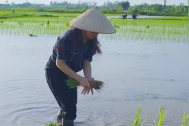 实拍越南农村生活？看完才知中越之间的差距，出乎意料视频封面