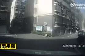 10秒钟没看住 孩童骑滑板车被撞视频封面