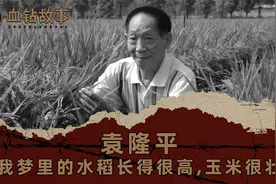 袁隆平：“我梦里的水稻长得很高，玉米很壮”视频封面
