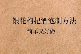 银花枸杞泡酒——清热明目，燥热健脾视频封面